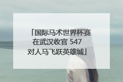 国际马术世界杯赛在武汉收官 547对人马飞跃英雄城