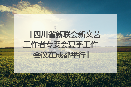 四川省新联会新文艺工作者专委会夏季工作会议在成都举行