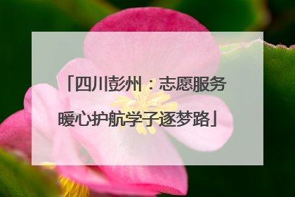 四川彭州：志愿服务暖心护航学子逐梦路