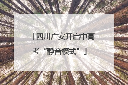 四川广安开启中高考“静音模式”