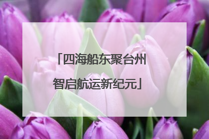四海船东聚台州 智启航运新纪元