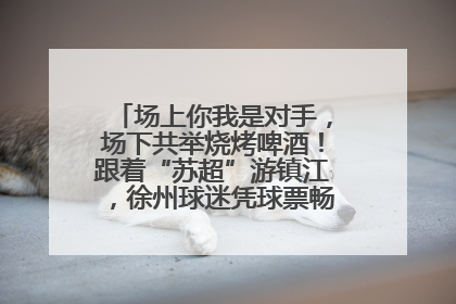 场上你我是对手，场下共举烧烤啤酒！跟着“苏超”游镇江，徐州球迷凭球票畅游名山胜景