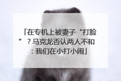 在专机上被妻子“打脸”？马克龙否认两人不和：我们在小打小闹