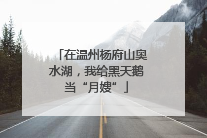 在温州杨府山奥水湖，我给黑天鹅当“月嫂”