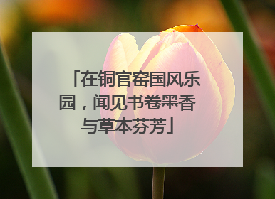在铜官窑国风乐园，闻见书卷墨香与草本芬芳