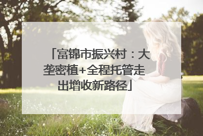 富锦市振兴村：大垄密植+全程托管走出增收新路径