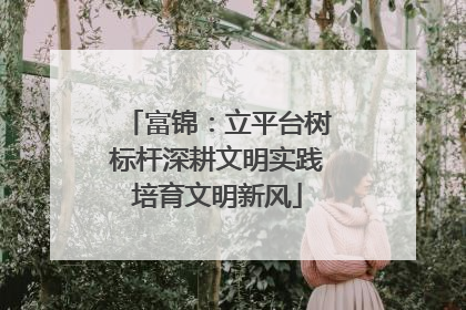 富锦：立平台树标杆深耕文明实践培育文明新风