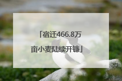 宿迁466.8万亩小麦陆续开镰