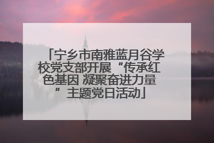 宁乡市南雅蓝月谷学校党支部开展“传承红色基因 凝聚奋进力量”主题党日活动