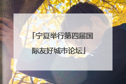 宁夏举行第四届国际友好城市论坛