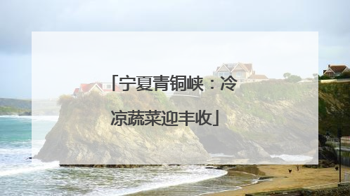 宁夏青铜峡：冷凉蔬菜迎丰收