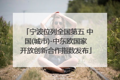 宁波位列全国第五 中国(城市)-中东欧国家开放创新合作指数发布