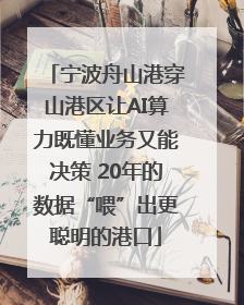 宁波舟山港穿山港区让AI算力既懂业务又能决策 20年的数据“喂”出更聪明的港口