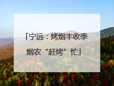 宁远：烤烟丰收季 烟农“赶烤”忙