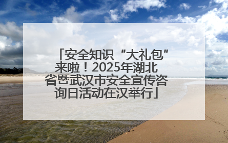 安全知识“大礼包”来啦！2025年湖北省暨武汉市安全宣传咨询日活动在汉举行