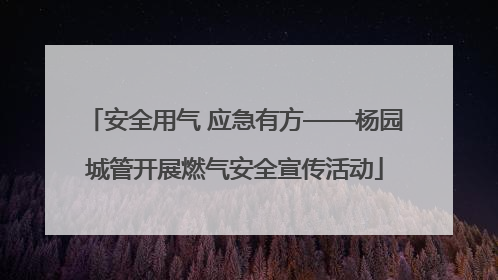 安全用气 应急有方——杨园城管开展燃气安全宣传活动