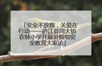 安全不放假，关爱在行动——庐江县同大镇农林小学开展暑假前安全教育大家访