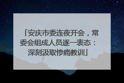 安庆市委连夜开会，常委会组成人员逐一表态：深刻汲取惨痛教训
