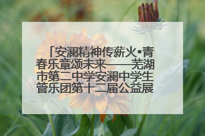 安澜精神传薪火•青春乐章颂未来——芜湖市第二中学安澜中学生管乐团第十二届公益展演圆满举行