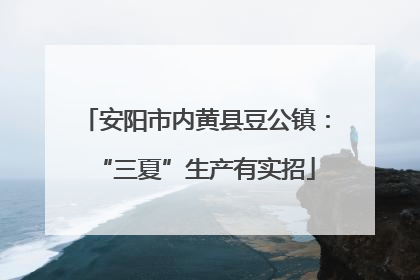 安阳市内黄县豆公镇：“三夏”生产有实招