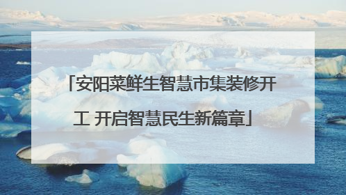 安阳菜鲜生智慧市集装修开工 开启智慧民生新篇章