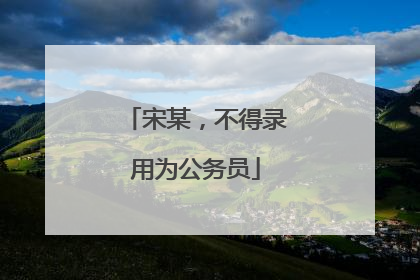 宋某，不得录用为公务员