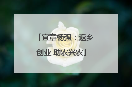 宜章杨强：返乡创业 助农兴农