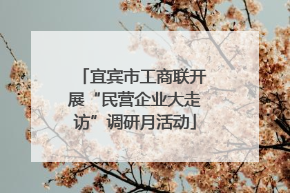 宜宾市工商联开展“民营企业大走访”调研月活动