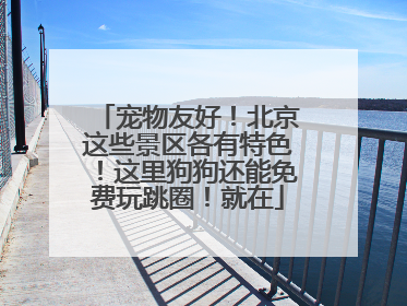 宠物友好！北京这些景区各有特色！这里狗狗还能免费玩跳圈！就在