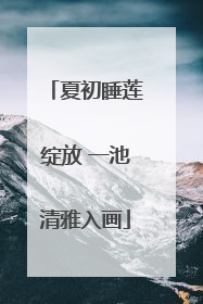 夏初睡莲绽放 一池清雅入画