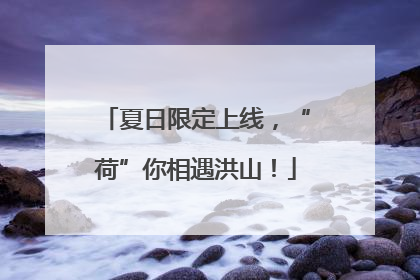 夏日限定上线，“荷”你相遇洪山！