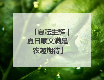 夏耘生辉｜夏日顺义满是农趣期待