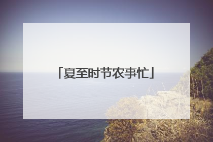 夏至时节农事忙