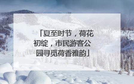 夏至时节，荷花初绽，市民游客公园寻觅荷香雅韵