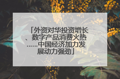 外资对华投资增长、数字产品消费火热……中国经济加力发展动力强劲