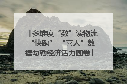 多维度“数”读物流“快跑” “喜人”数据勾勒经济活力画卷