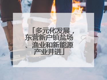 多元化发展，东营新户镇盐场、渔业和新能源产业并进