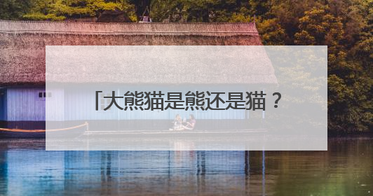大熊猫是熊还是猫？（把自然讲给你听）
