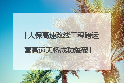 大保高速改线工程跨运营高速天桥成功爆破