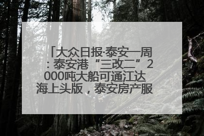大众日报·泰安一周：泰安港“三改二”2000吨大船可通江达海上头版，泰安房产服务改革经验全省推广