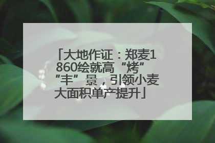 大地作证：郑麦1860绘就高“烤”“丰”景，引领小麦大面积单产提升