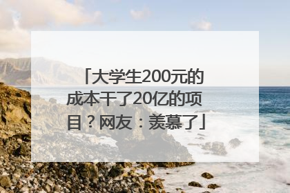 大学生200元的成本干了20亿的项目？网友：羡慕了