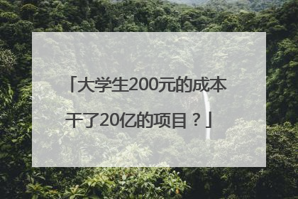 大学生200元的成本干了20亿的项目？
