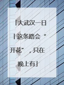 大武汉一日丨这条路会“开花”，只在晚上有
