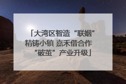 大湾区智造“联姻”精铸小镇 嘉禾借合作“破茧”产业升级