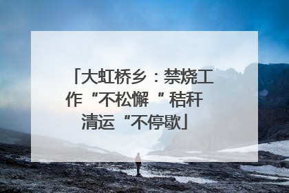 大虹桥乡：禁烧工作“不松懈“ 秸秆清运“不停歇