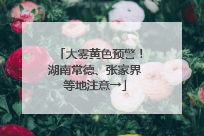 大雾黄色预警！湖南常德、张家界等地注意→