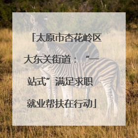 太原市杏花岭区大东关街道：“一站式”满足求职 就业帮扶在行动