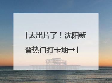 太出片了！沈阳新晋热门打卡地→