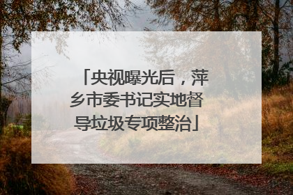 央视曝光后，萍乡市委书记实地督导垃圾专项整治